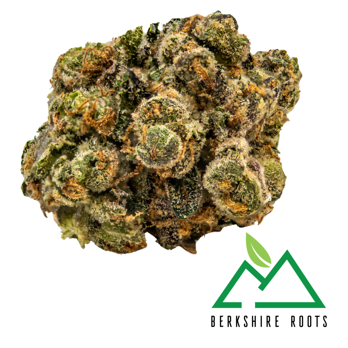 Photograph of product: London Jelly Buds | 3.5g