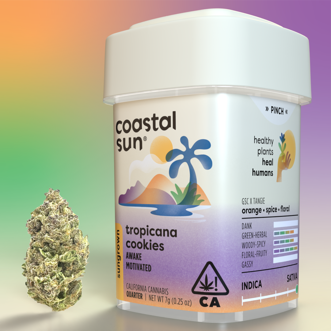 Photograph of product: Coastal Sun | Tropicana Cookie - 7g