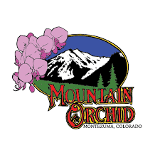 Photograph of Product: Apricot Scone (S/H) By Mountain Orchid - 1g