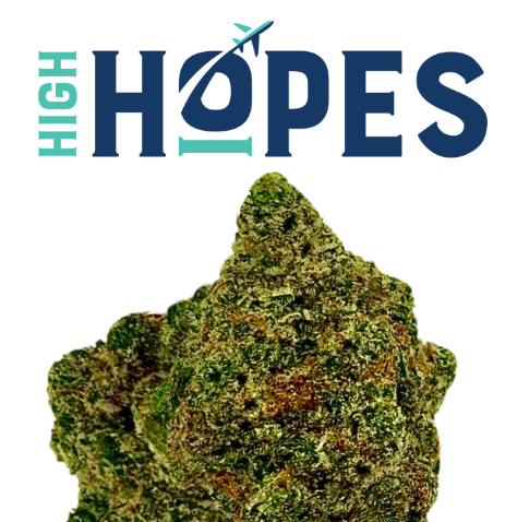 Photograph of product: High Hopes | Intergalactic Flower - 1g