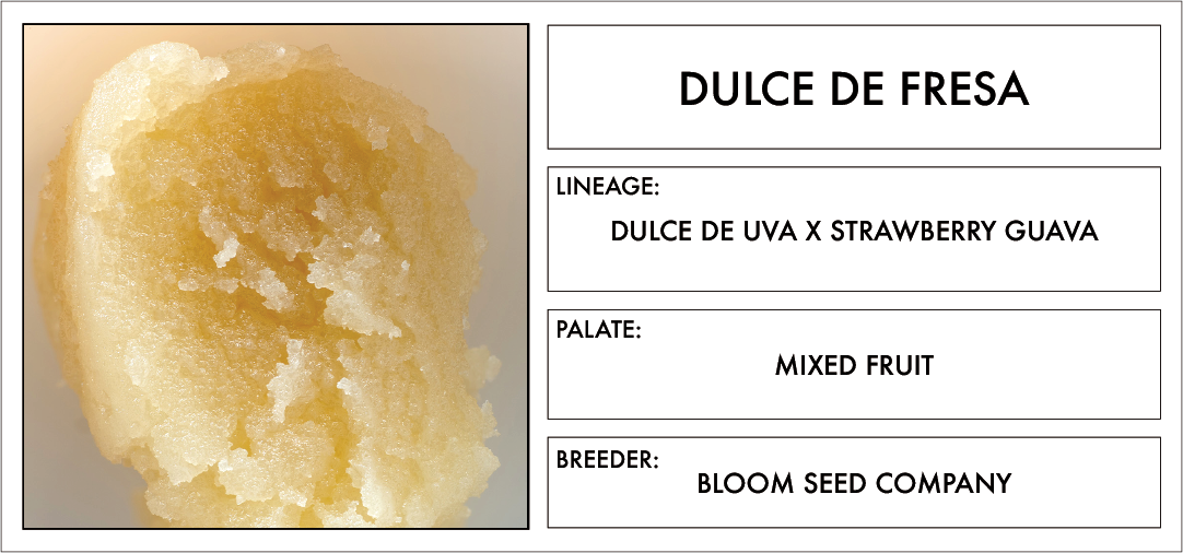 Photograph of product: Olio - Dulce de Fresa - Cold Cure Live Rosin