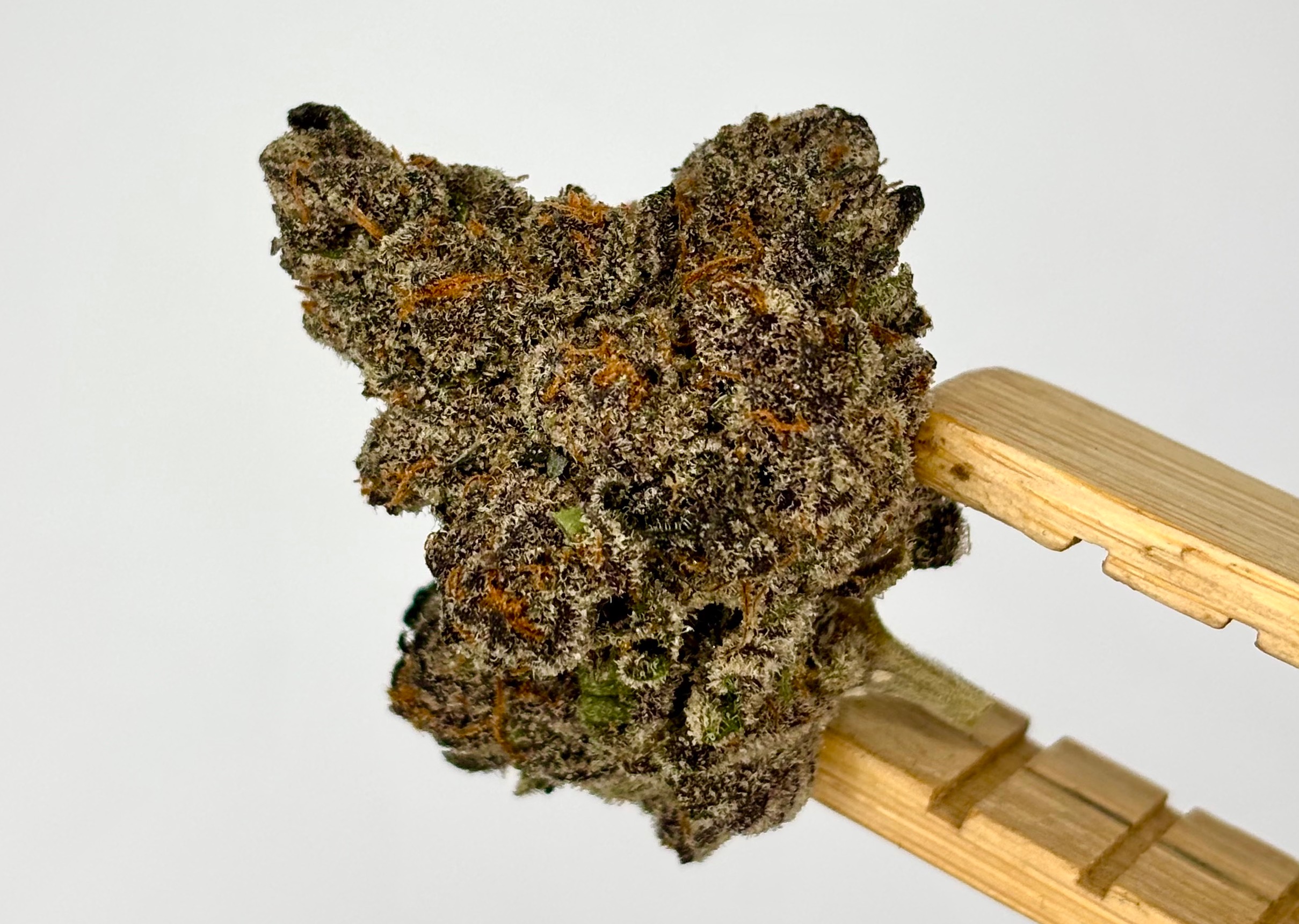 Photograph of product: DOGHOUSE | CALIFORNIA | BULK FLOWER - 28g