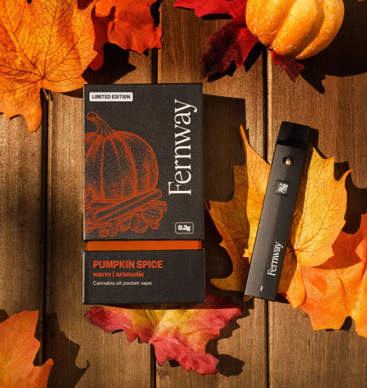Photograph of product: Fernway | Pumpkin Spice - Disposable