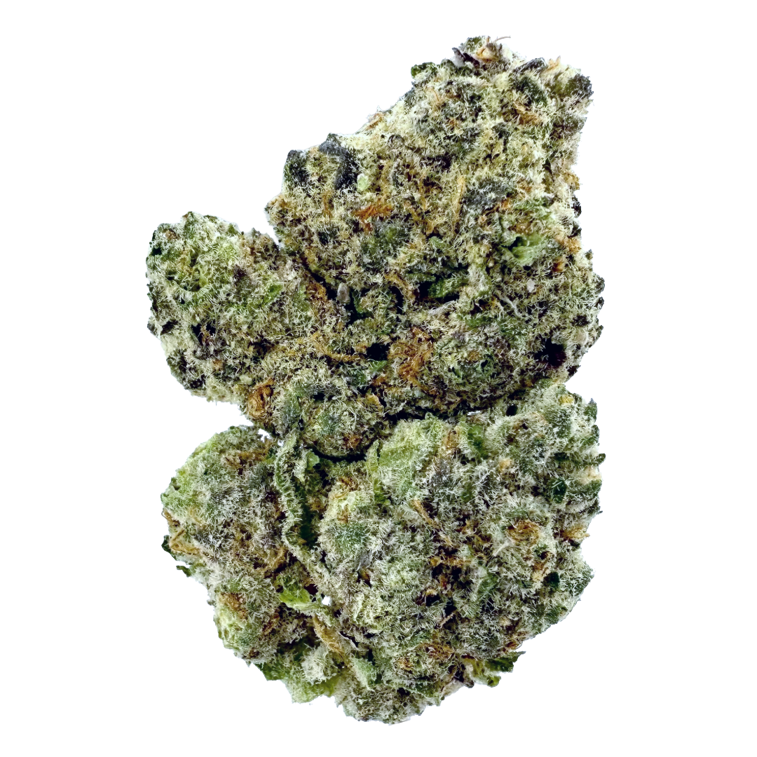 Photograph of product: GOLD STANDARD - INDOOR WENDY 3.5G