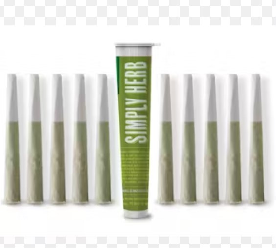 Photograph of product: Jungle Jam | Multipack | 10pk of 0.35g