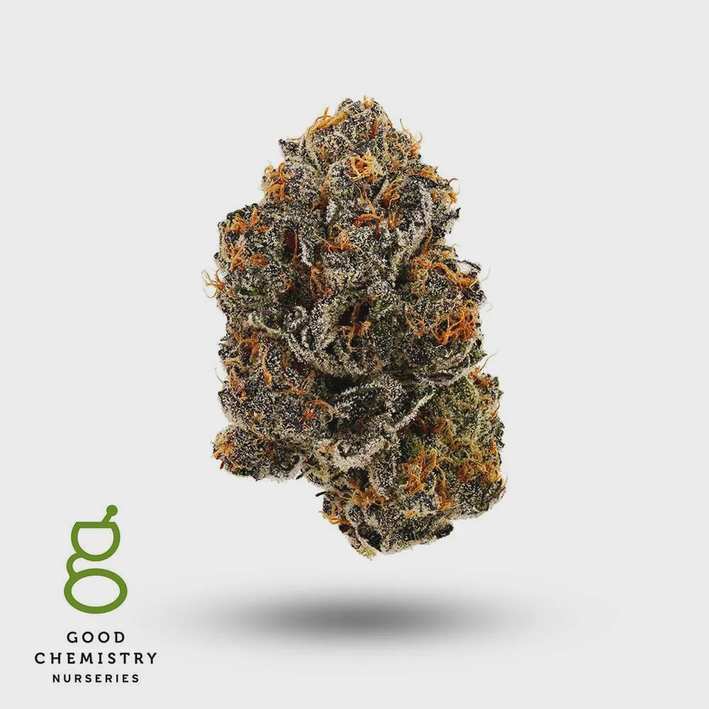 Photograph of product: Good Chemistry - Flower - Grape Gas (H) - Bulk - 28g