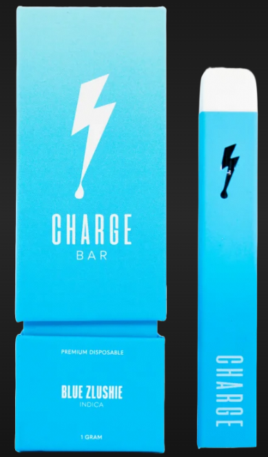 Photograph of product: Charge Bar - Georgia Pie | 1G Dispo (TAX INCLUDED)