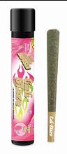 Photograph of product: Dragon Fruit Tarantula | 1G Infused Pre Roll (TAX INCLUDED)