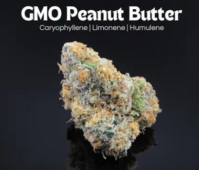 Photograph of product: GMO Peanut Butter | 2.83g