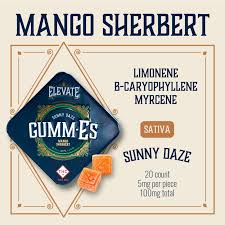 Photograph of product: Elevate Mango Sherbert Gummies 20pk | 100mg