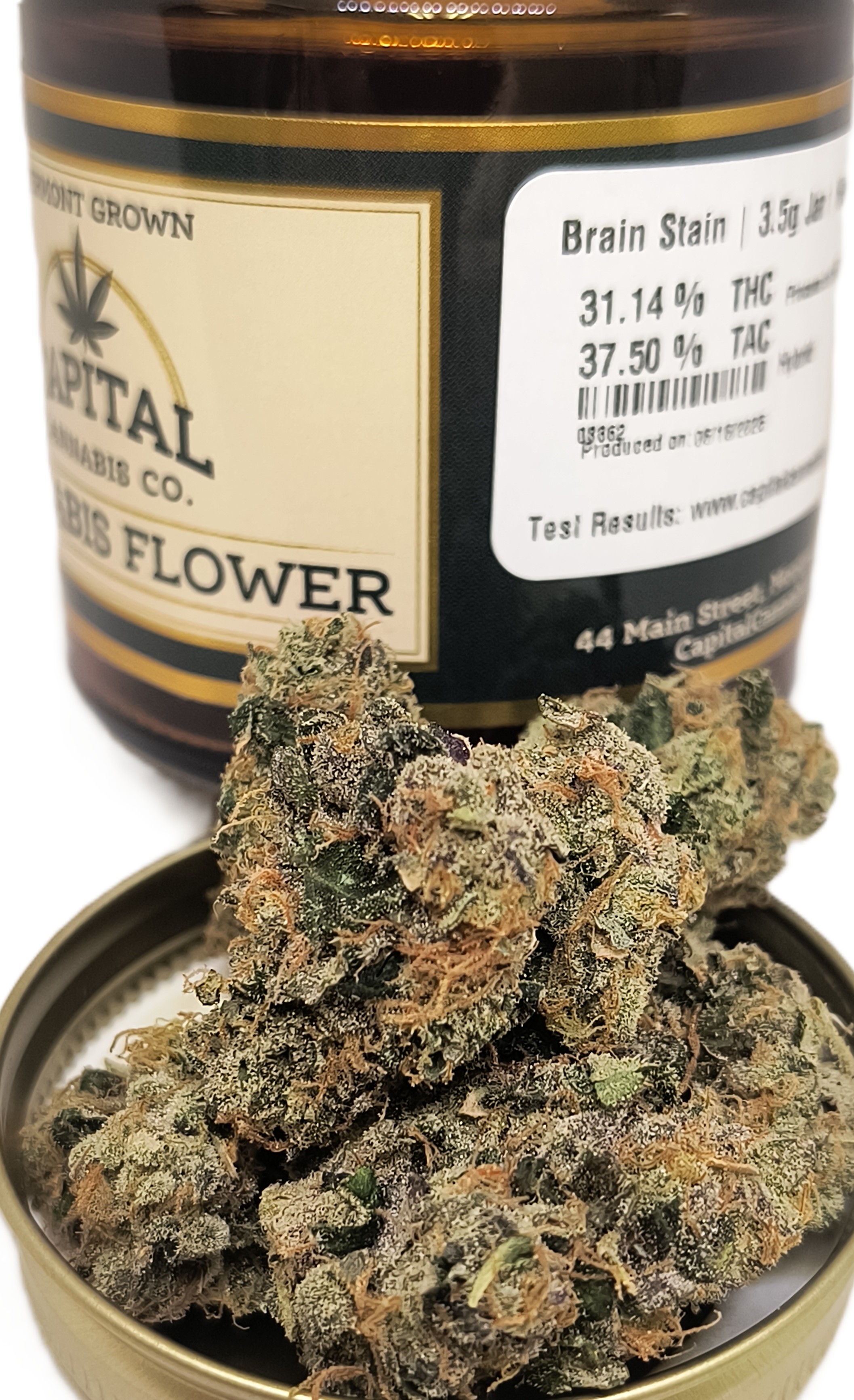 Photograph of product: Brain Stain Jar | High Altitude - 3.5g