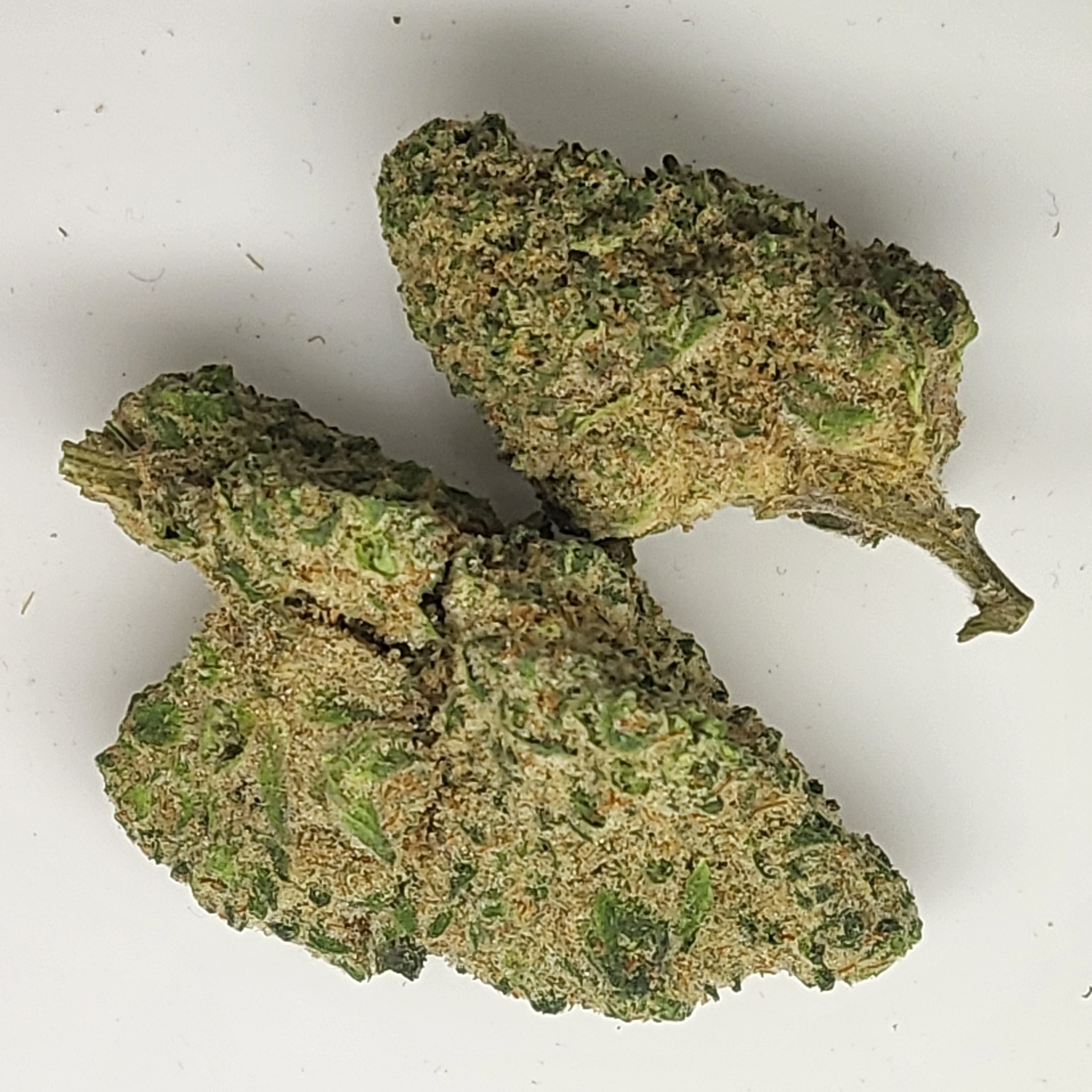 Photograph of product: Jungle Pie 3.5g Flower 29.85% TH-oui by Redoubt Reefer