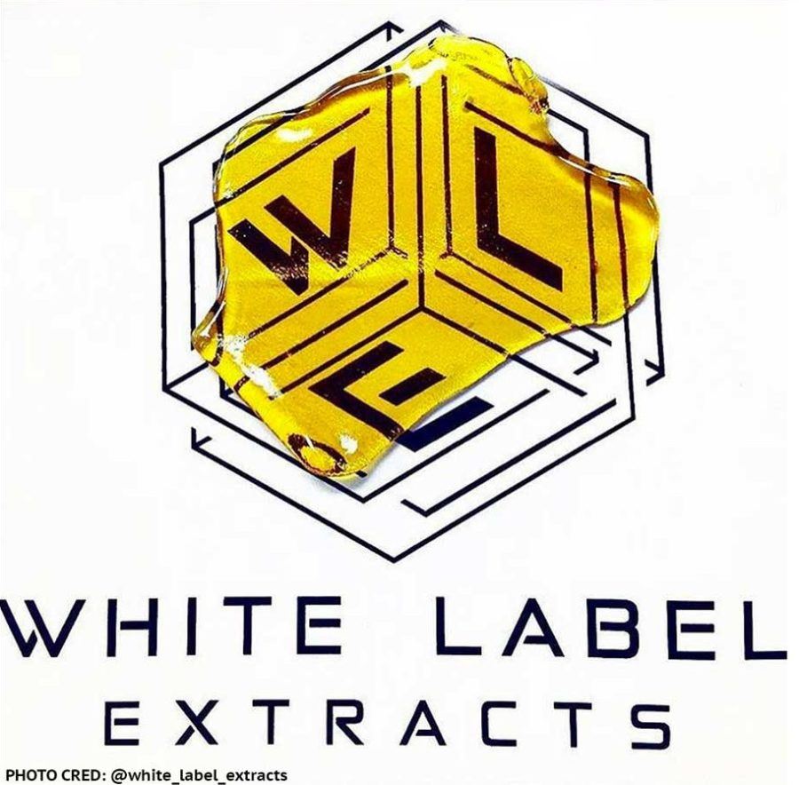 Photograph of product: Haze Live Resin Sugar (White Label Extracts)