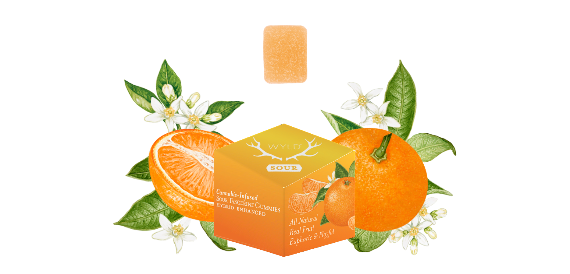 Photograph of product: Wyld - Gummies - Sour Tangerine (H) (100mg)
