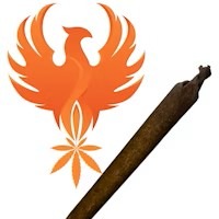 Photograph of product: Fuego Farms -  Pre-Rolled Phillies -  Gummy Bearz 1G Oui'd