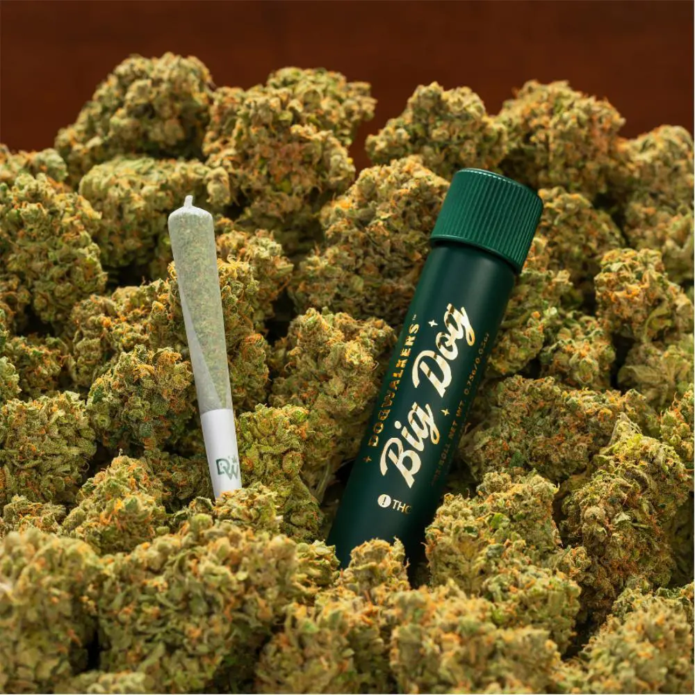 Photograph of product: Dogwalkers Big Dog Preroll (.75g) Perfect Brownie