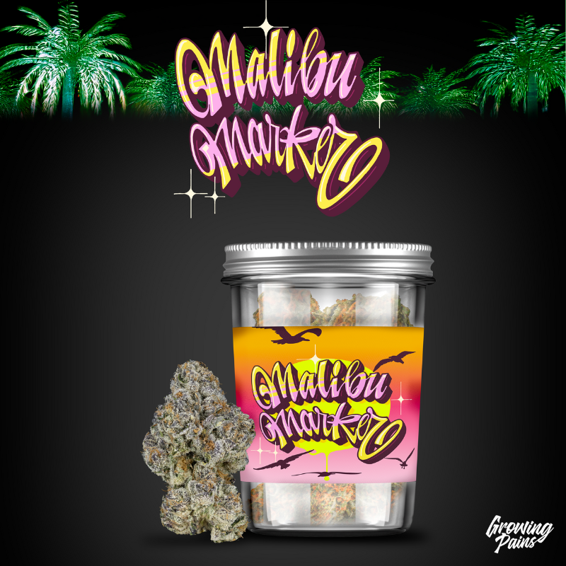 Photograph of product: Growing Pains | Malibu Marker Pre-Pack Flower - 14g