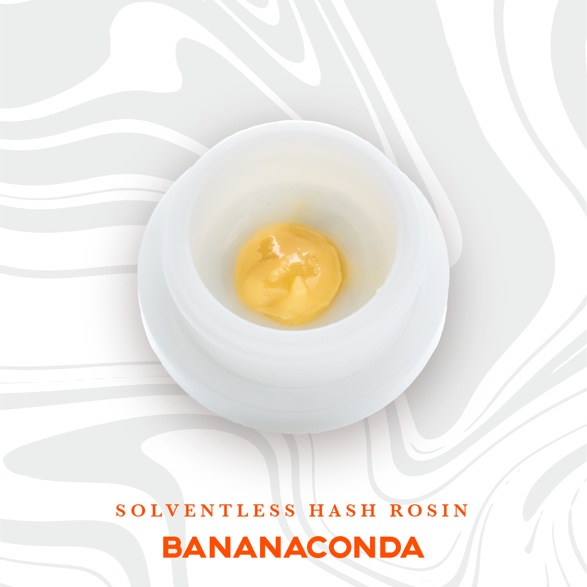 Photograph of product: Vivid | Live Rosin | Bananaconda