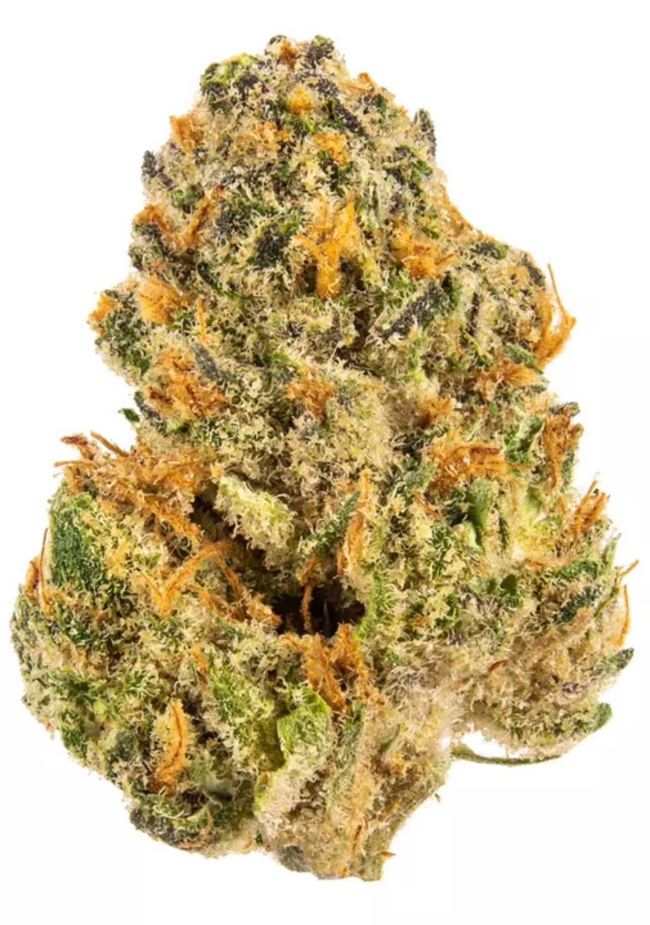 Photograph of product: Gud Gardens Sherb Bait - 7g