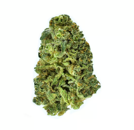 Photograph of product: CHAMPION CITY CHOCOLATE 14G FLOWER