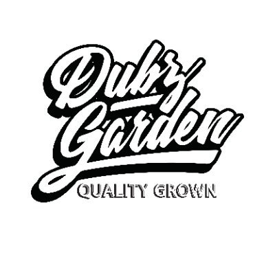 Photograph of Product: Dubz Garden | Gelato 33 (I\H) 14 Grams indoor Flower