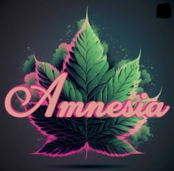 Photograph of product: Amnesia - 1.3G Glass Tip Bubble au chocolat Preroll - OG