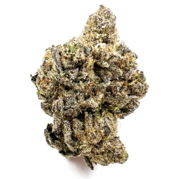 Photograph of product: Hustler's Ambition | Sticky Fingers 3.5g
