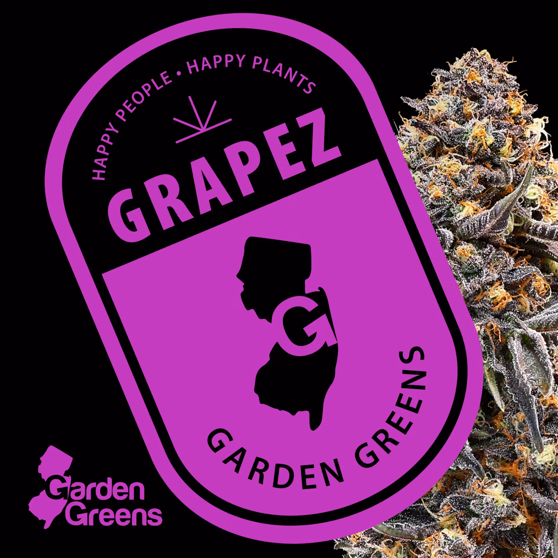 Photograph of product: GrapeZ (3.5g)