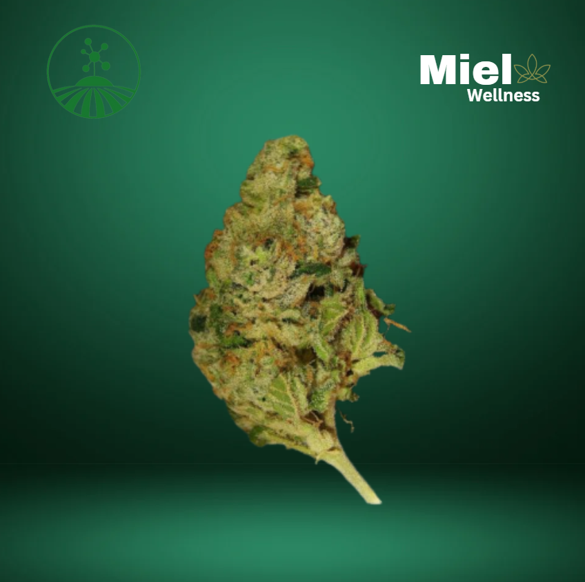 Photograph of product: North Star OG | Flower | 3.5g