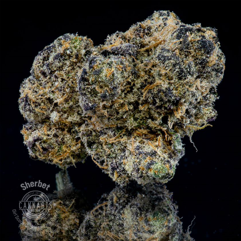 Photograph of product: Flower | Sherbet - 1g