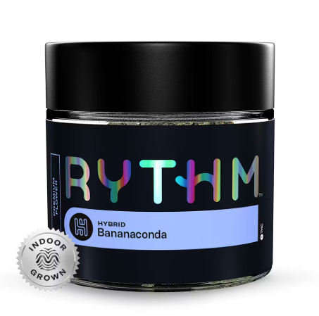 Photograph of product: RYTHM - BANANACONDA (7G) (H)