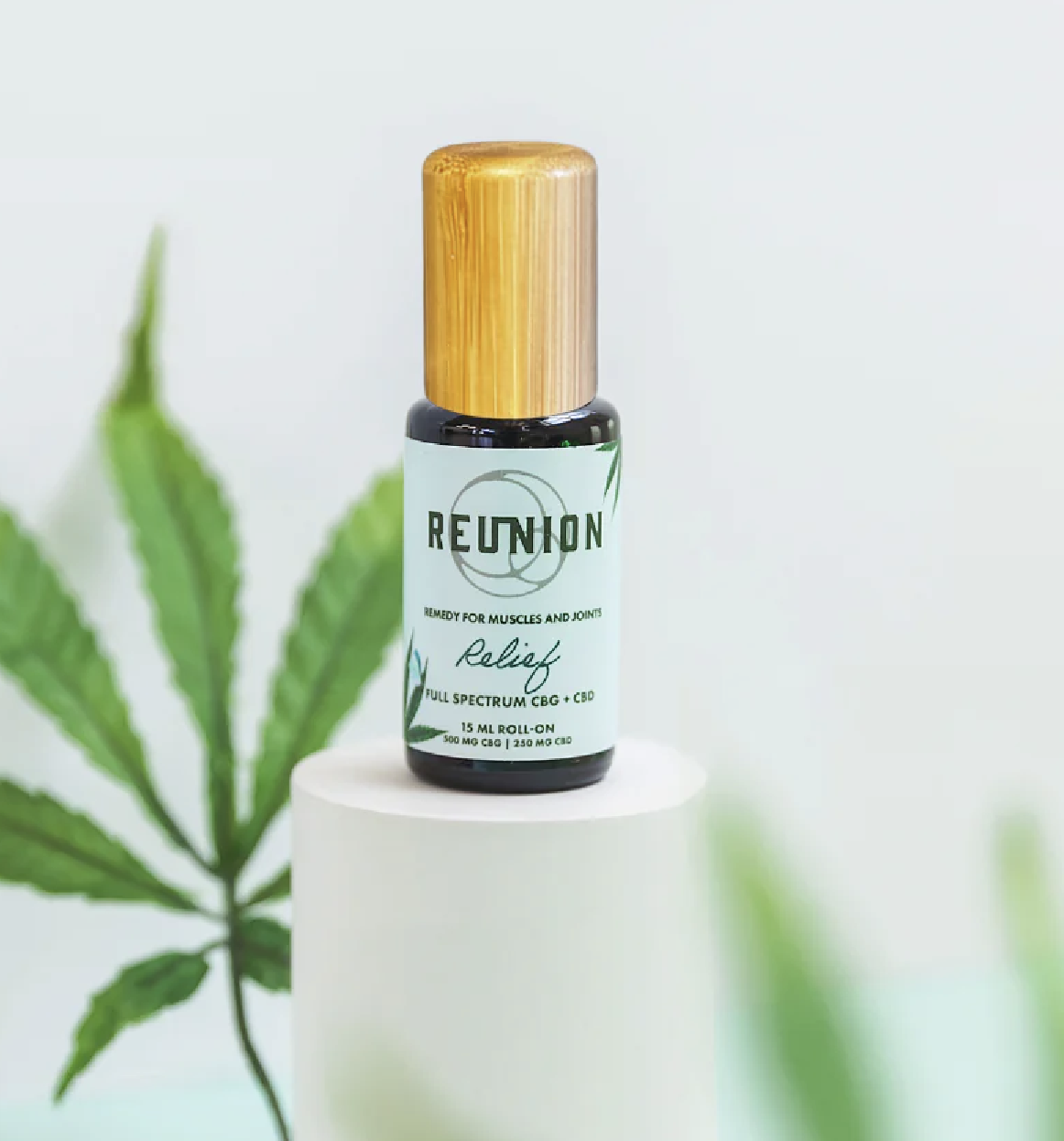 Photograph of product: Relief Roll-On Oil | CBD + CBG