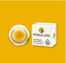 Photograph of product: Berries And Cream Live Badder 1g - 