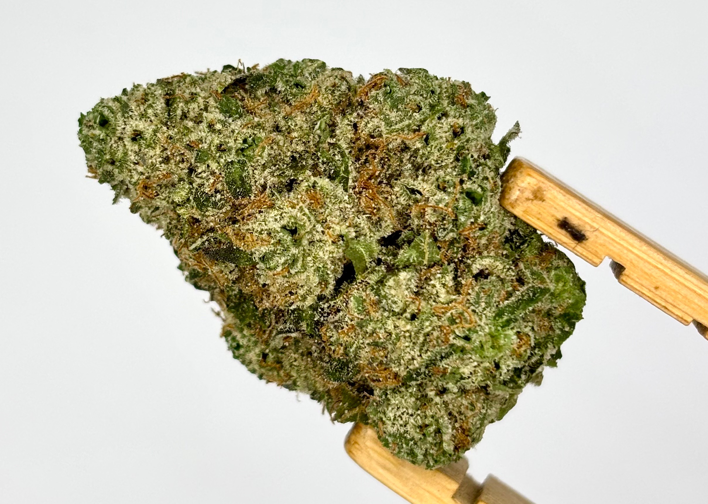 Photograph of product: TRU SMOKE | BLUE LOBSTER #2 | BULK FLOWER | A - 28g