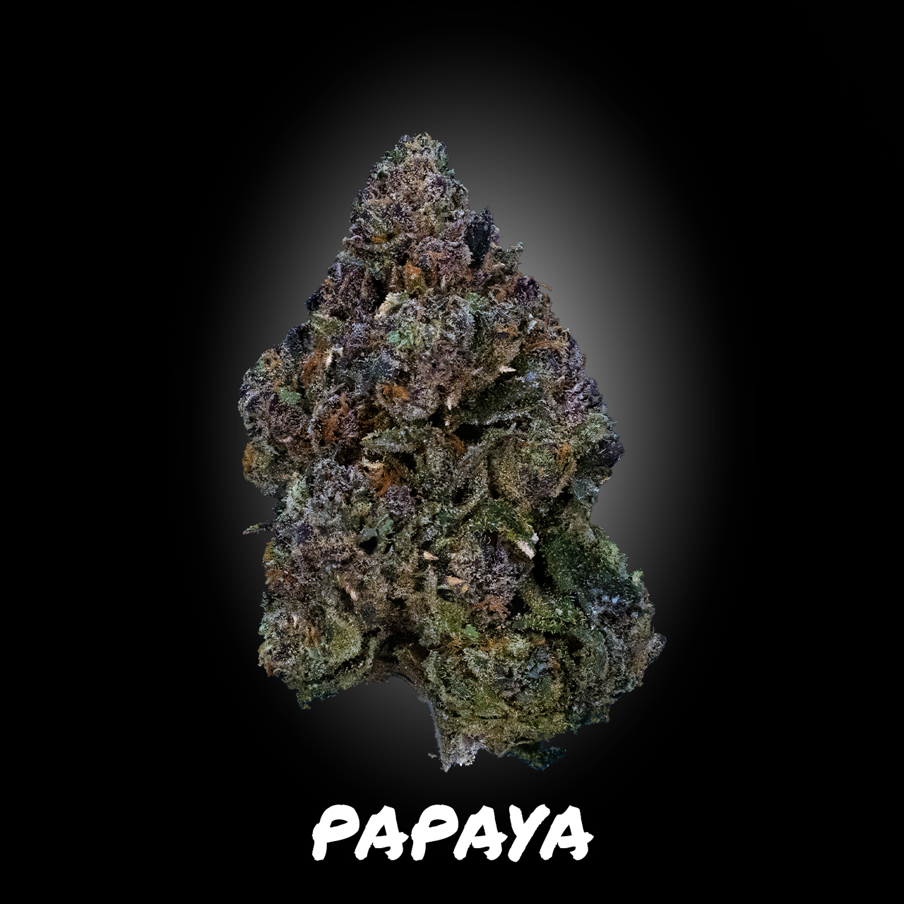 Photograph of product: Papaya - Demboyz Prepackaged Flower - 3.5g