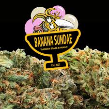 Photograph of product: Garden State Banana | Banana Sundae Flower - 3.5g