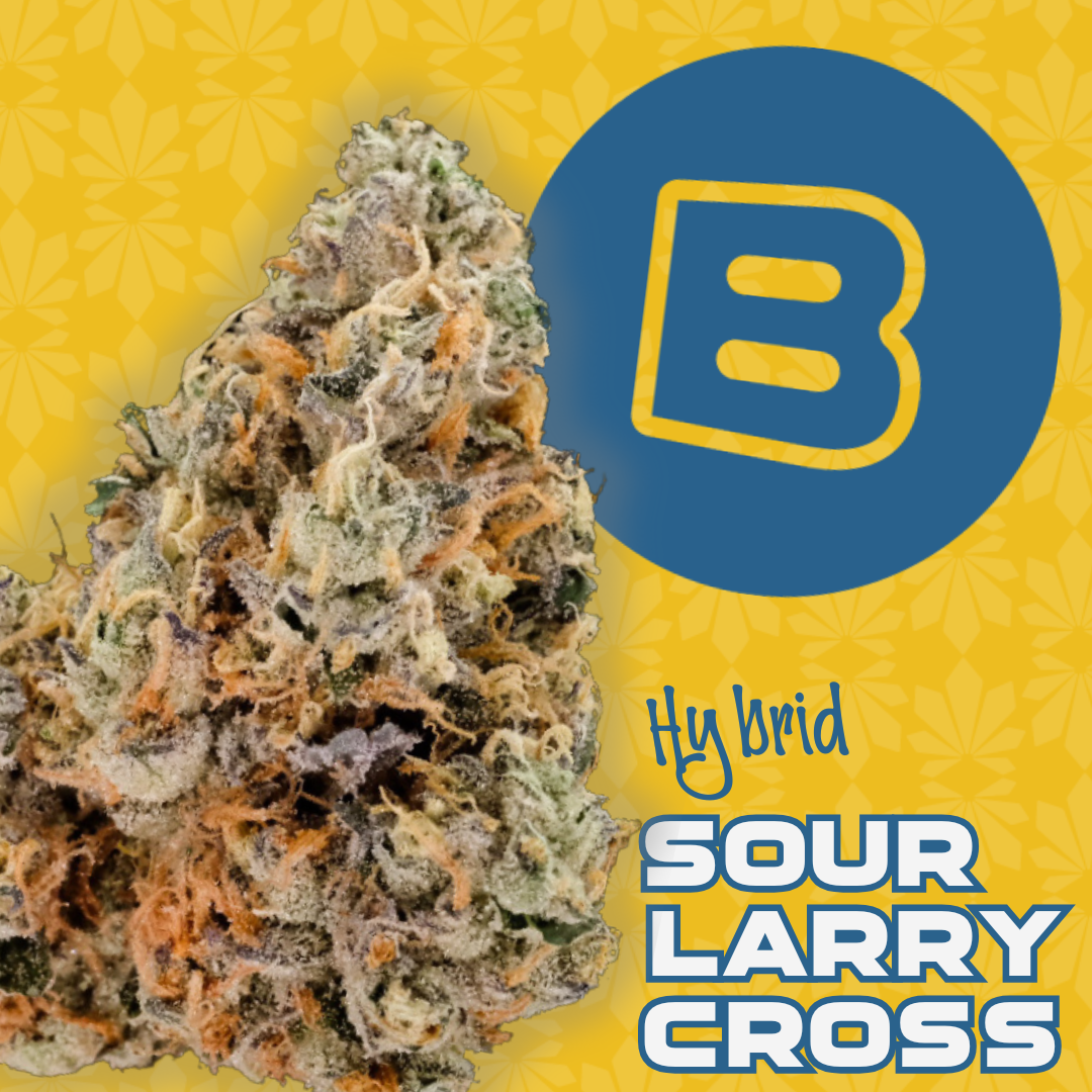 Photograph of product: Sour Larry Cross | 2.83g