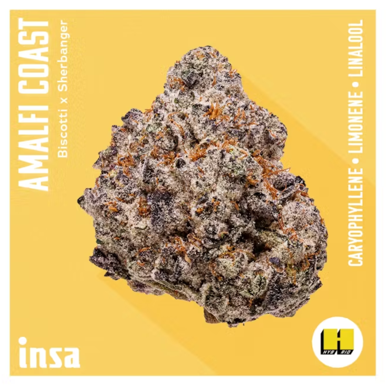 Photograph of product: 3.5g | Amalfi Coast | INSA