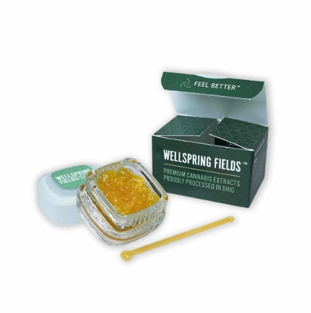 Photograph of Product: Puna Alien Fuel | Live Resin | 0.84g