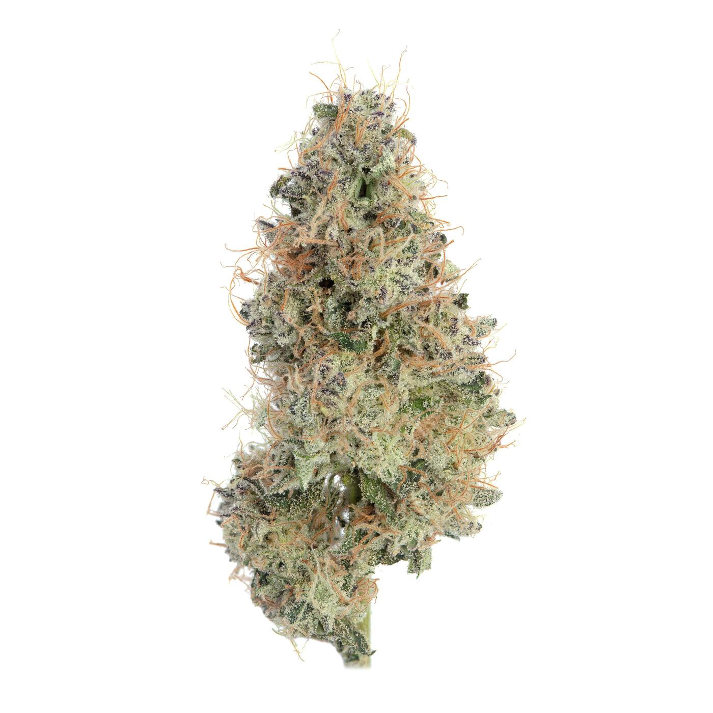 Photograph of product: au chocolat Burger 3.5g