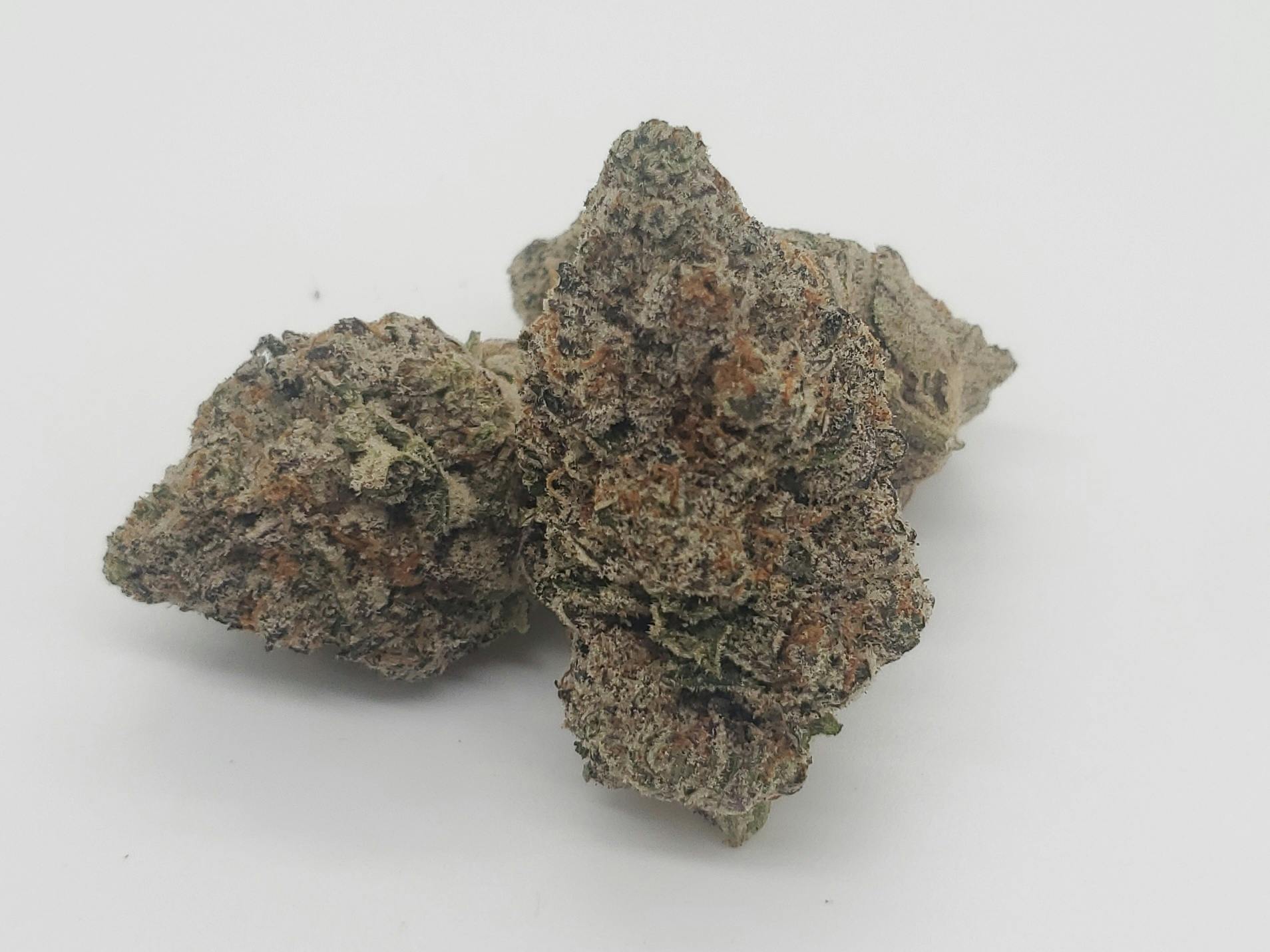 Photograph of product: Jet Lag - Gold Shelf