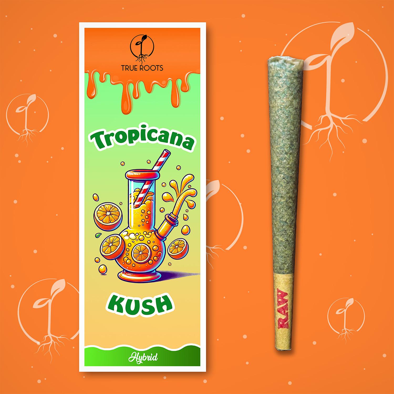 Photograph of product: Canvas Cones - Tropicana Kush - Preroll 1.1g [Hybrid]