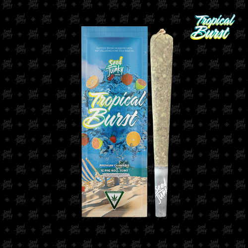 Photograph of product: Seed Junky Pre-Roll | Tropical Burst