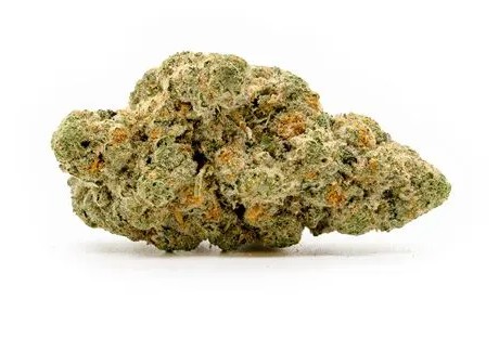Photograph of product: OZ - Hot Rod - (Oui'd Hybrid) - 27.68% TH-oui (+/- 10%) - Bud & Mary's - 9834 - 28g