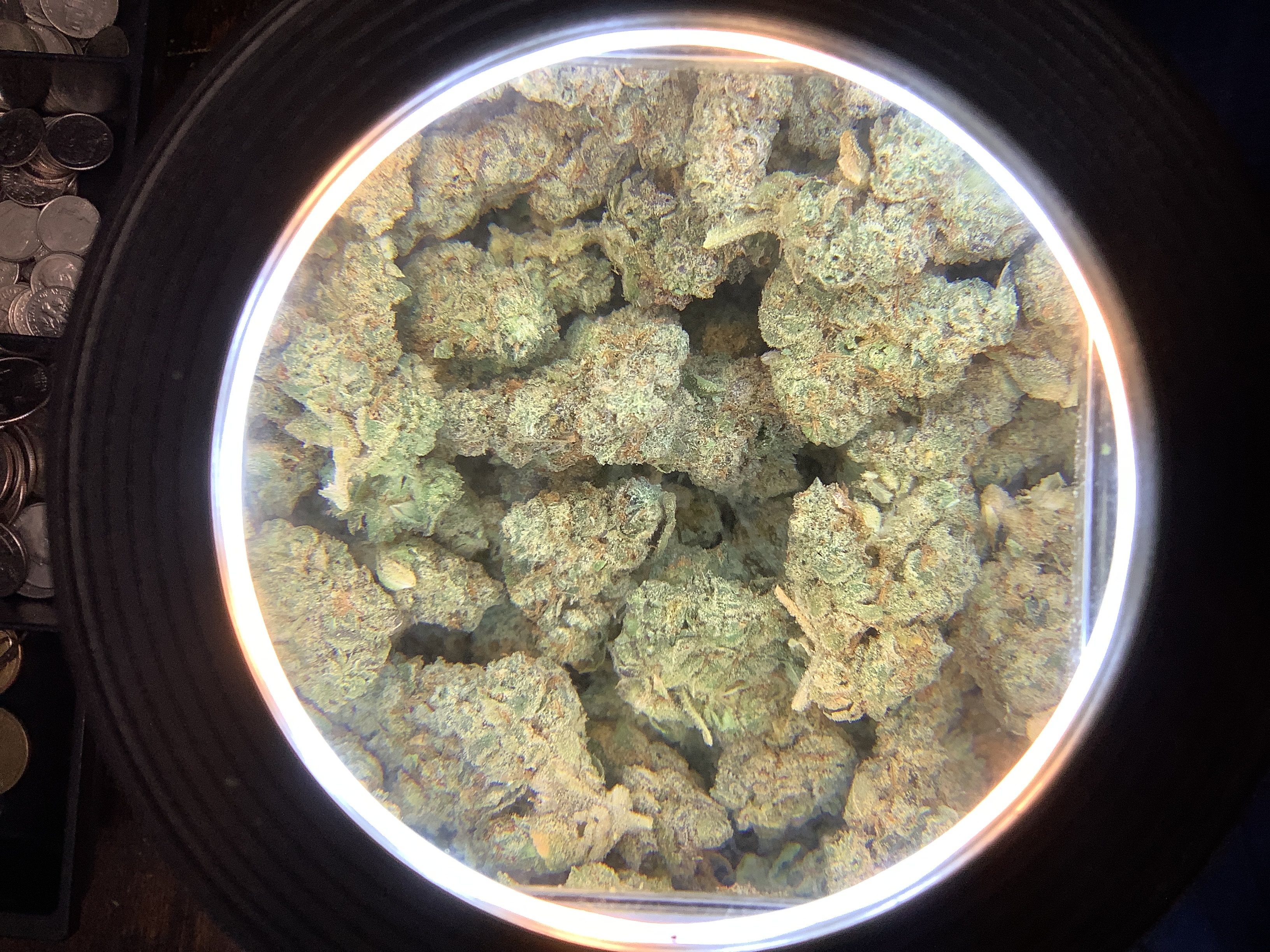 Photograph of product: Gorge Grown | GARLIC COOKIES - 28g