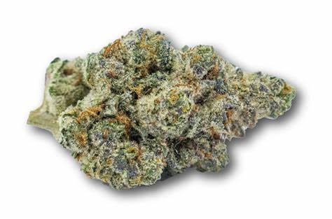 Photograph of product: TFS Flower Florida Kush (IH) 1g