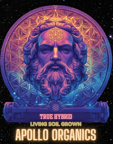 Photograph of product: Motown Silk Prepacked OZ - 28g