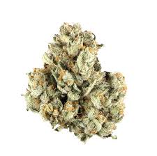 Photograph of product: Bold Cultivation Poddy Mouth 28g Hybrid Flower