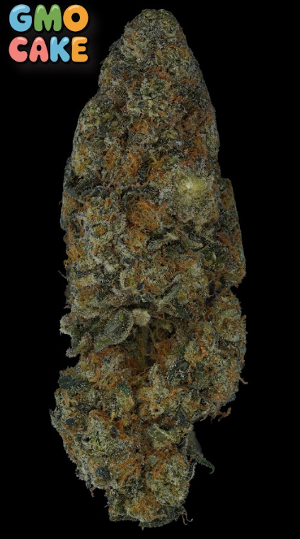 Photograph of product: Prolific GMO Cake 3.5g