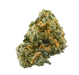 Photograph of product: GMO Crasher | Six Labs - 28g